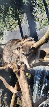 長崎バイオパークに投稿された画像（2023/1/2）