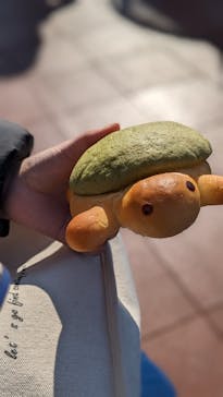 新江ノ島水族館に投稿された画像（2023/1/2）