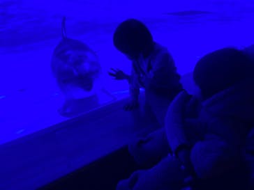 アクアワールド茨城県大洗水族館に投稿された画像（2023/1/2）