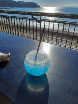 新江ノ島水族館に投稿された画像（2023/1/2）