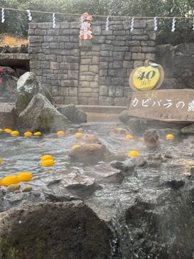 伊豆シャボテン動物公園に投稿された画像（2023/1/2）