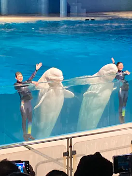 横浜・八景島シーパラダイスに投稿された画像（2023/1/2）