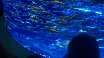アクアワールド茨城県大洗水族館に投稿された画像（2023/1/2）