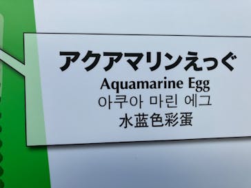 環境水族館アクアマリンふくしまに投稿された画像（2023/1/2）