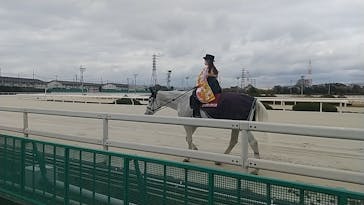 園田競馬場に投稿された画像（2023/1/2）