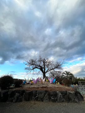 伊豆ぐらんぱる公園に投稿された画像（2023/1/2）