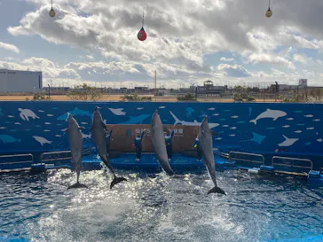 仙台うみの杜水族館に投稿された画像（2023/1/2）