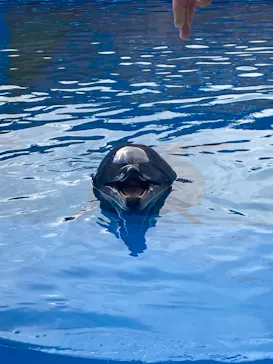仙台うみの杜水族館に投稿された画像（2023/1/2）