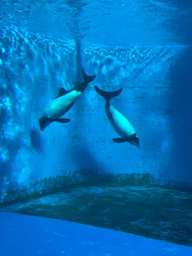 仙台うみの杜水族館に投稿された画像（2023/1/2）