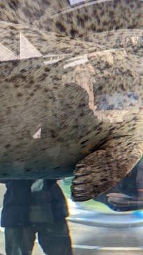 京都水族館に投稿された画像（2023/1/2）