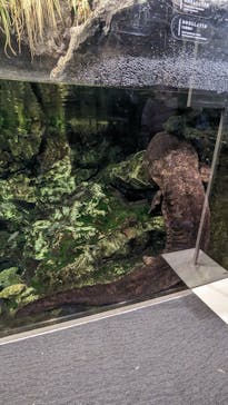 京都水族館に投稿された画像（2023/1/2）