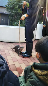 マクセル アクアパーク品川に投稿された画像（2023/1/2）