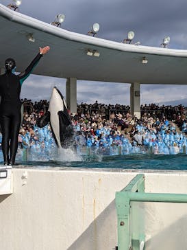 鴨川シーワールドに投稿された画像（2023/1/2）