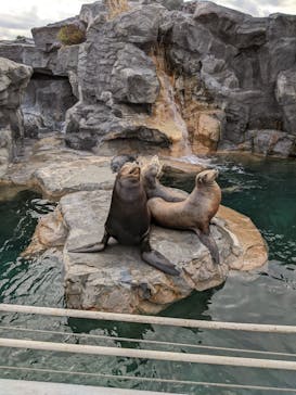 鴨川シーワールドに投稿された画像（2023/1/2）