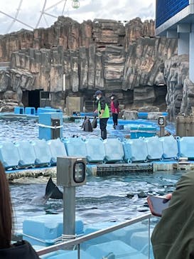 名古屋港水族館に投稿された画像（2023/1/2）