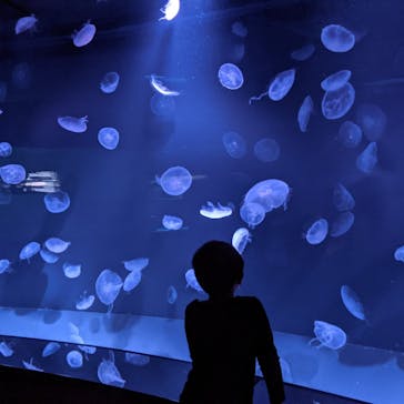 名古屋港水族館に投稿された画像（2023/1/2）