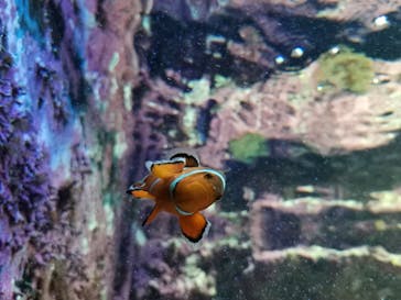 サンシャイン水族館に投稿された画像（2023/1/2）