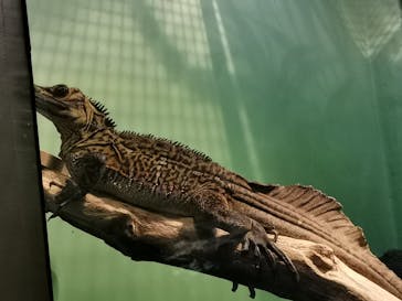 サンシャイン水族館に投稿された画像（2023/1/2）