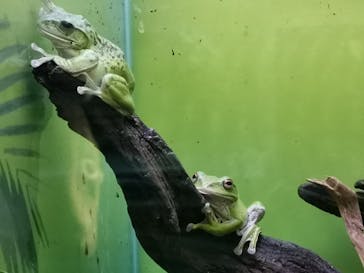 サンシャイン水族館に投稿された画像（2023/1/2）