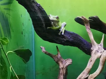 サンシャイン水族館に投稿された画像（2023/1/2）