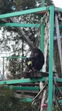 日本モンキーパークに投稿された画像（2023/1/2）