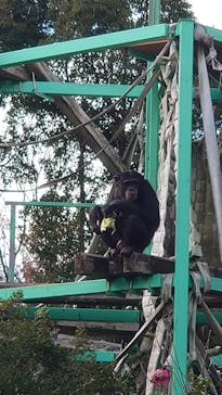 日本モンキーパークに投稿された画像（2023/1/2）