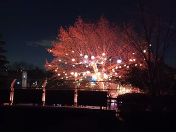 西武園ゆうえんちに投稿された画像（2023/1/2）