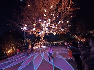 西武園ゆうえんちに投稿された画像（2023/1/2）