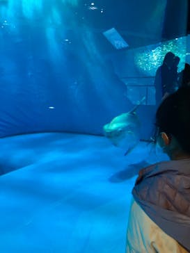 アクアワールド茨城県大洗水族館に投稿された画像（2023/1/2）