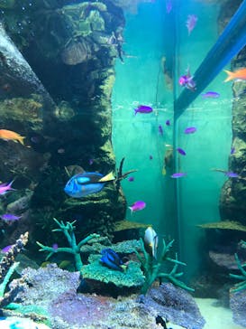 サンシャイン水族館に投稿された画像（2023/1/2）