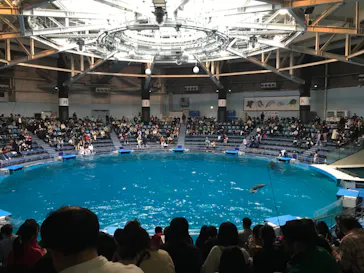マクセル アクアパーク品川に投稿された画像（2023/1/2）
