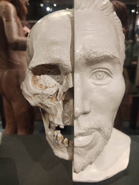 国立科学博物館に投稿された画像（2023/1/2）