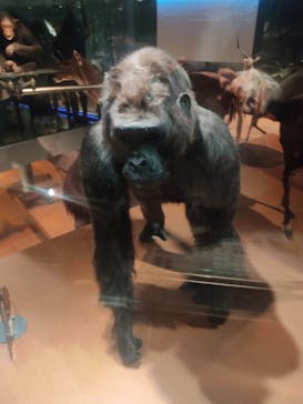 国立科学博物館に投稿された画像（2023/1/2）