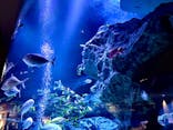 すみだ水族館に投稿された画像（2023/1/2）