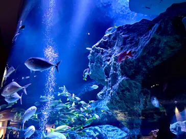 すみだ水族館に投稿された画像（2023/1/2）