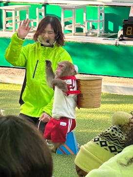 おさるランド＆アニタウン　日光さる軍団劇場に投稿された画像（2023/1/2）