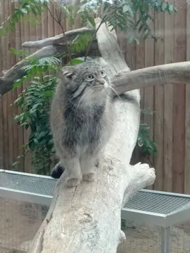 神戸どうぶつ王国に投稿された画像（2023/1/2）