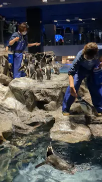 すみだ水族館に投稿された画像（2023/1/2）