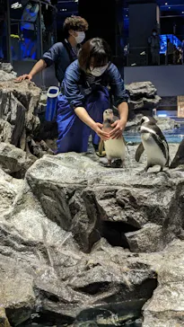 すみだ水族館に投稿された画像（2023/1/2）