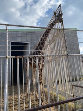九十九島動植物園森きららに投稿された画像（2023/1/2）