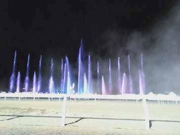 東京メガイルミに投稿された画像（2023/1/2）