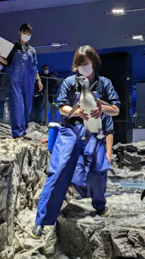 すみだ水族館に投稿された画像（2023/1/2）