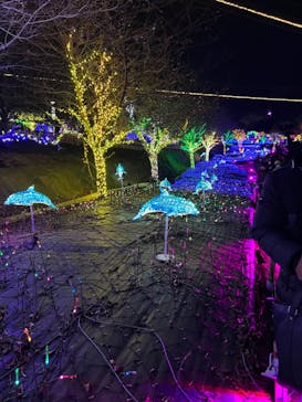 伊豆ぐらんぱる公園に投稿された画像（2023/1/2）