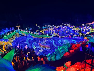 伊豆ぐらんぱる公園に投稿された画像（2023/1/2）