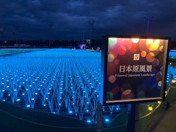 東京メガイルミに投稿された画像（2023/1/2）