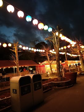 西武園ゆうえんちに投稿された画像（2023/1/2）