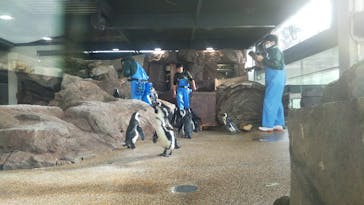 京都水族館に投稿された画像（2023/1/2）
