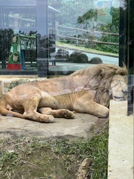 沖縄こどもの国に投稿された画像（2023/1/2）