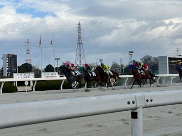 園田競馬場に投稿された画像（2023/1/2）