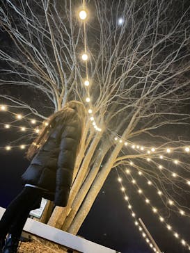 KYOTO ILLUMINATION SYNESTHESIA HILLS るり渓温泉に投稿された画像（2023/1/2）